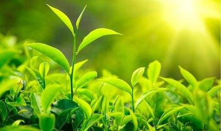 1584762237403025044.jpg 1584762237403025044.jpg